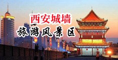 黑人大鸡巴日白逼福利视频中国陕西-西安城墙旅游风景区
